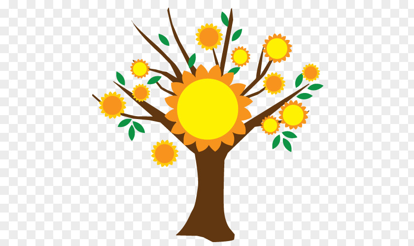 Sunflower Vector Montessori Daycare Education Cut Flowers Plant PNG