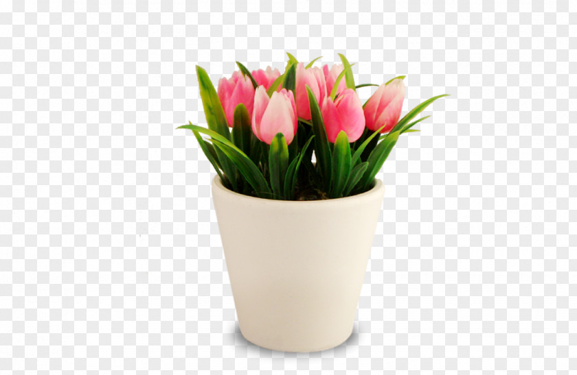 Tulip Floristry Flowerpot Cut Flowers PNG