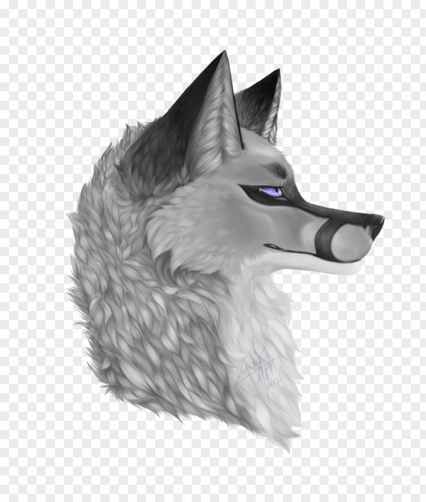 You're Looking For It Whiskers Dog Drawing Snout PNG