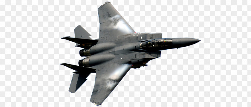 Airplane McDonnell Douglas F-15E Strike Eagle F-15 Boeing F-15SE Silent Sukhoi Su-30 PNG