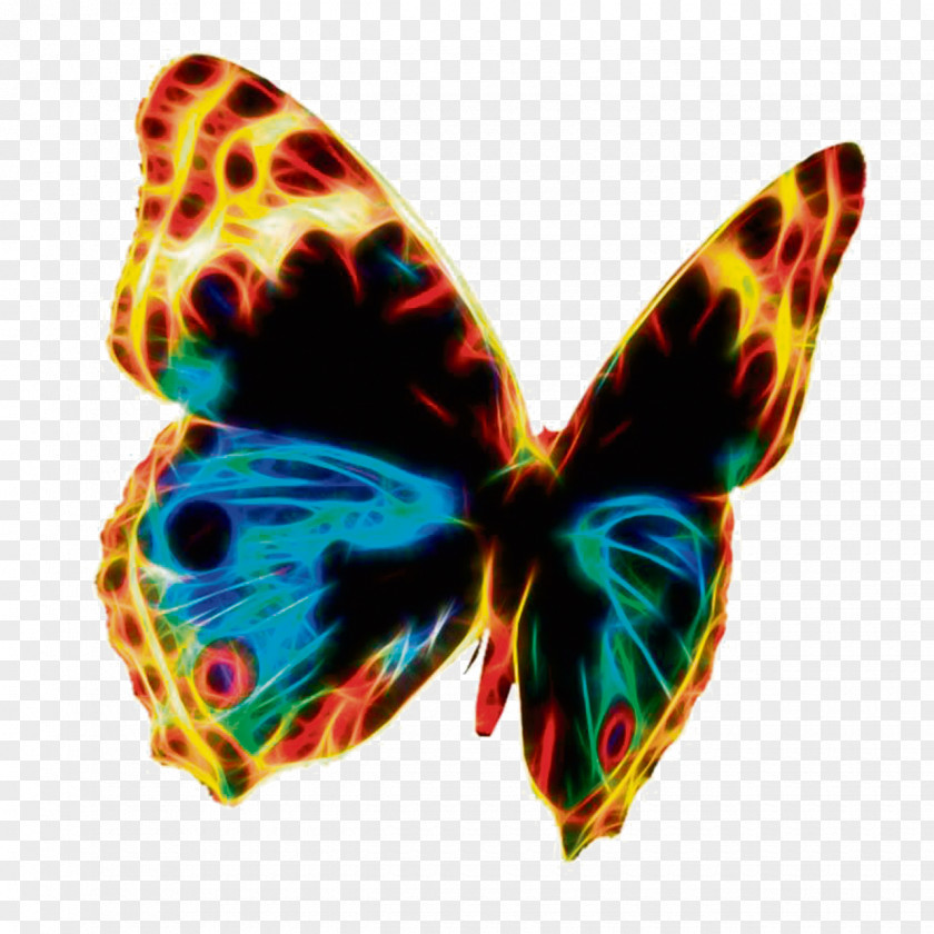 Butterfly Public Domain Royalty-free Clip Art PNG