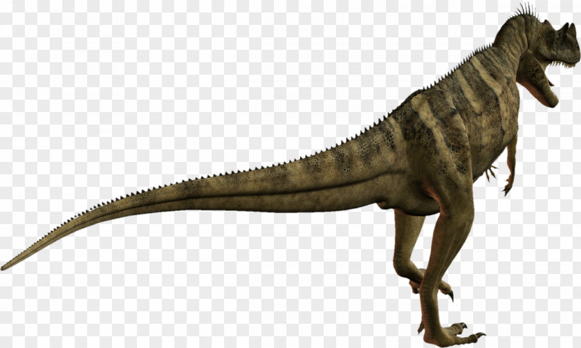 Ceratosaurus Tyrannosaurus Velociraptor Extinction Animal PNG
