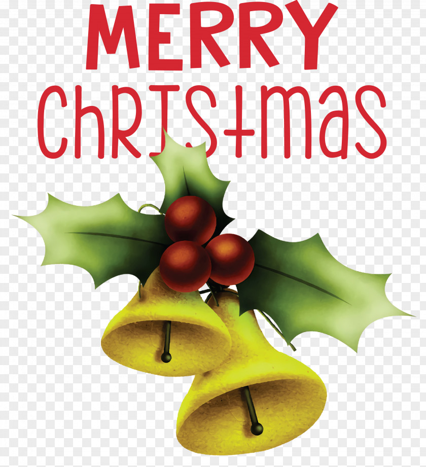 Christmas Day PNG