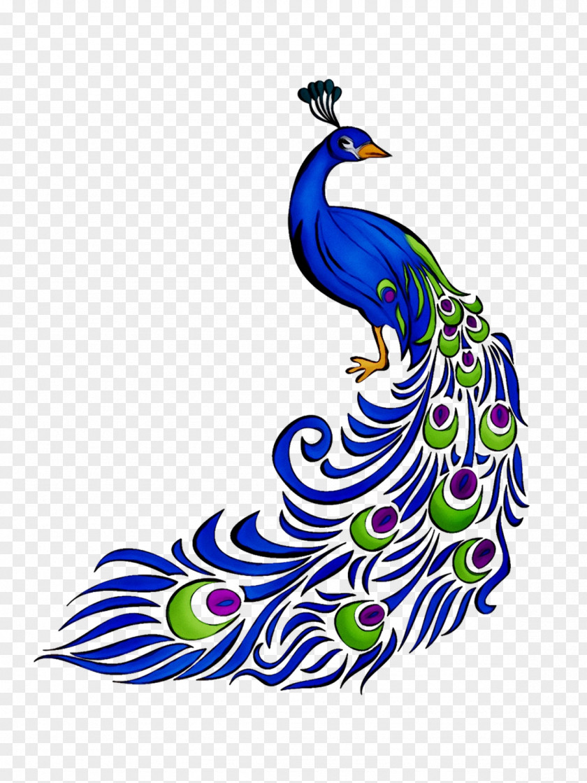 Clip Art Peafowl Illustration Image Vector Graphics PNG