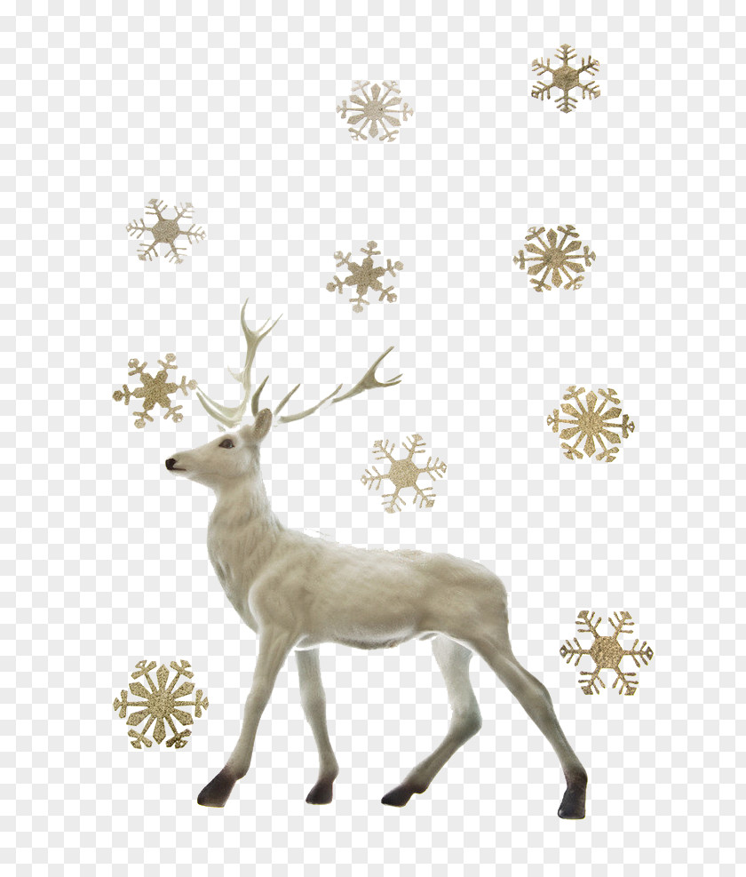 Deer With Snow Effect Reindeer Santa Claus Christmas PNG