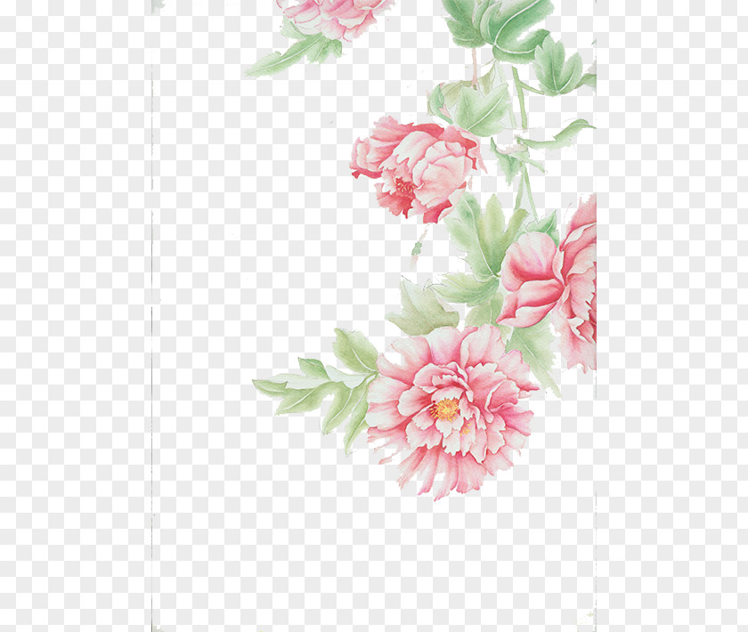 Floral Background Design Cut Flowers Centifolia Roses PNG