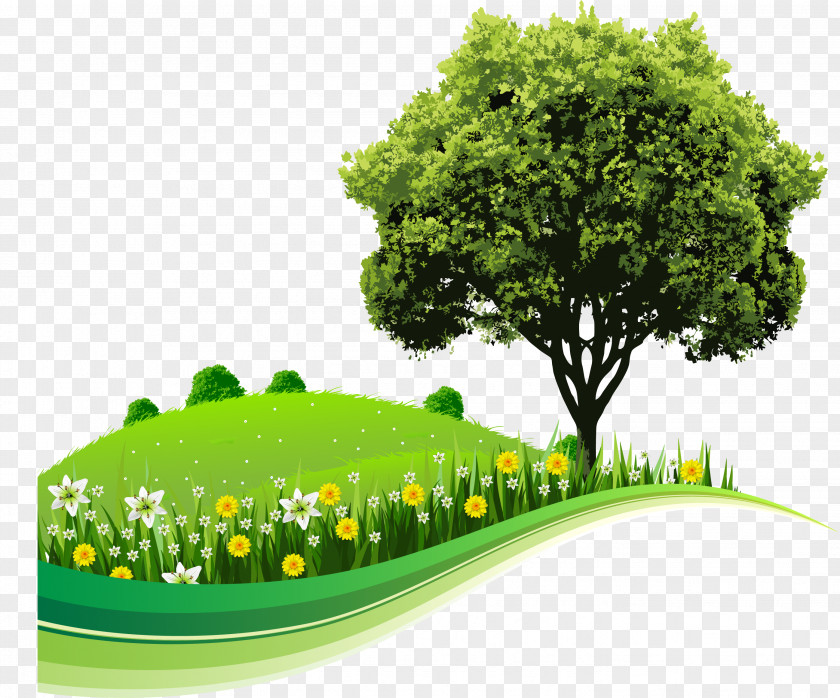 Kids Background Tree Landscape Nature Drawing PNG