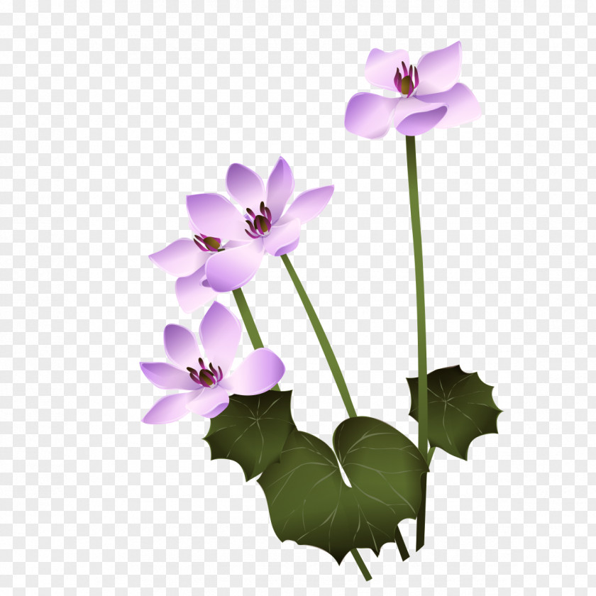 Lotus Bloom Flower Clip Art PNG