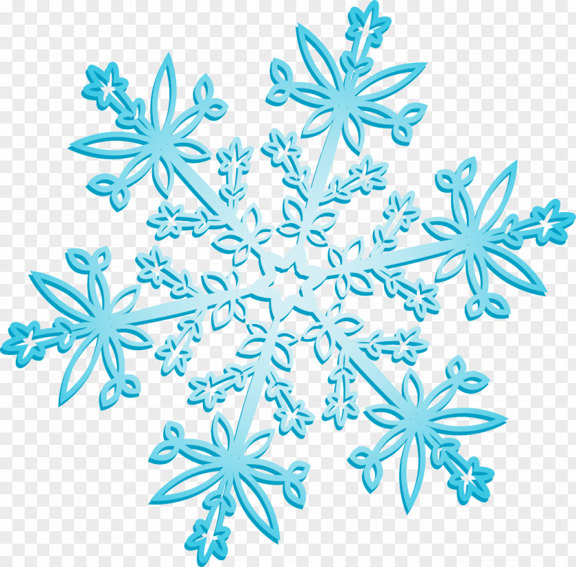 Plant Poster Snowflake Silhouette PNG