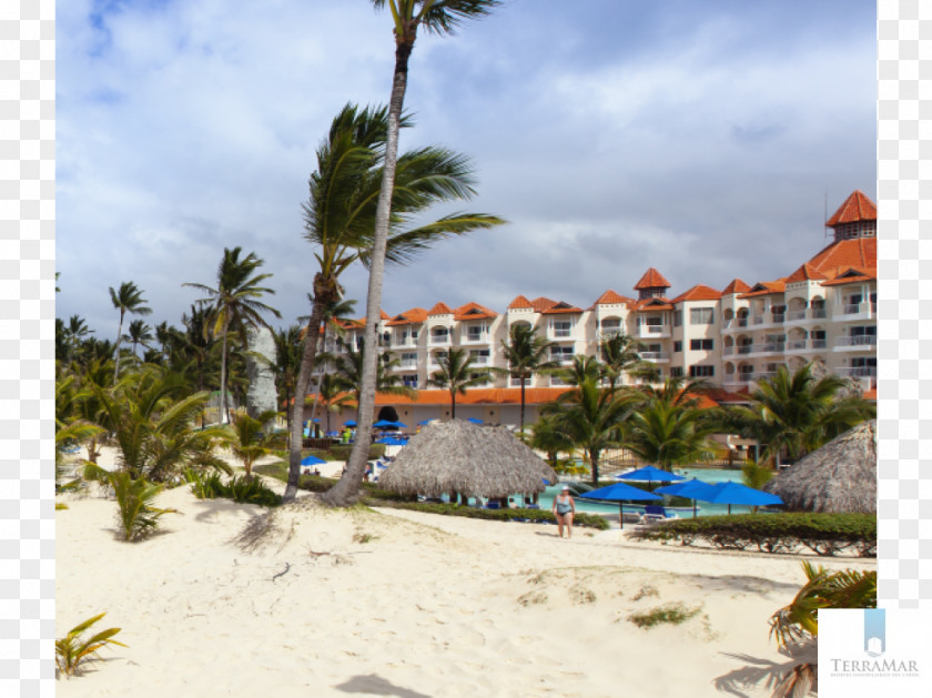 Punta Cana Occidental Caribe Hotel All-inclusive Resort Beach PNG