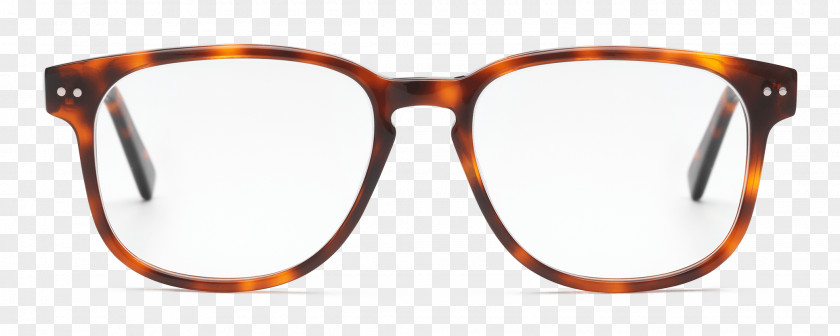 Tortoide Sunglasses Lens Goggles Polarized Light PNG