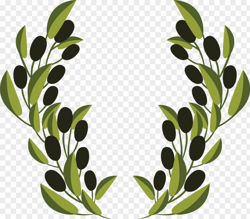Vector Olive Branch Decoration Clip Art PNG