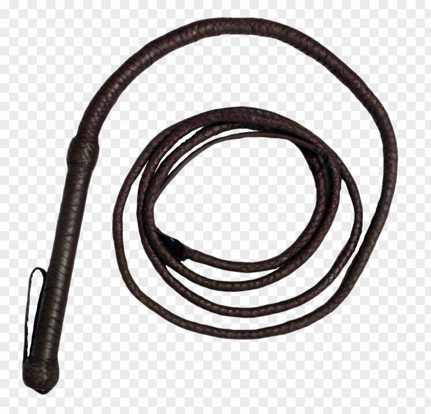 Bullwhip Leather PNG