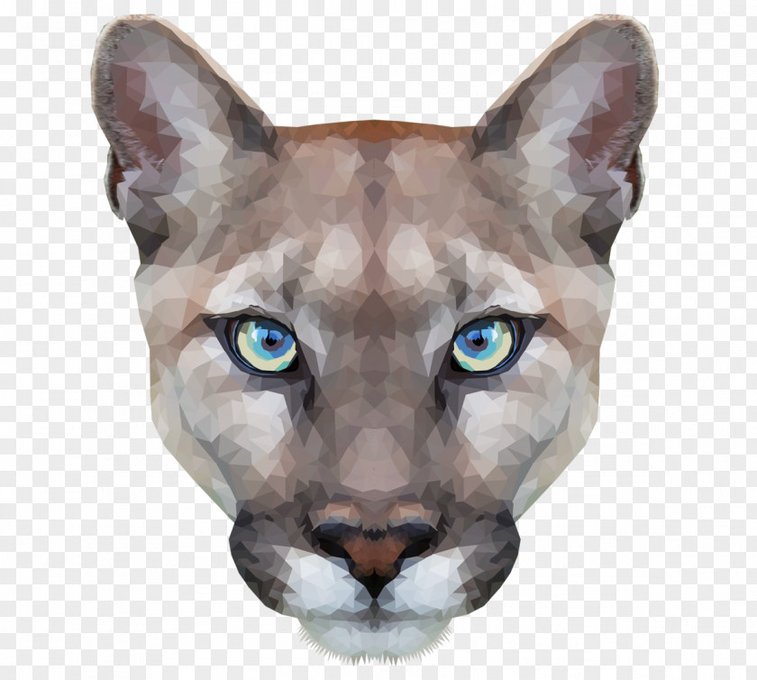 Cat Cougar PNG