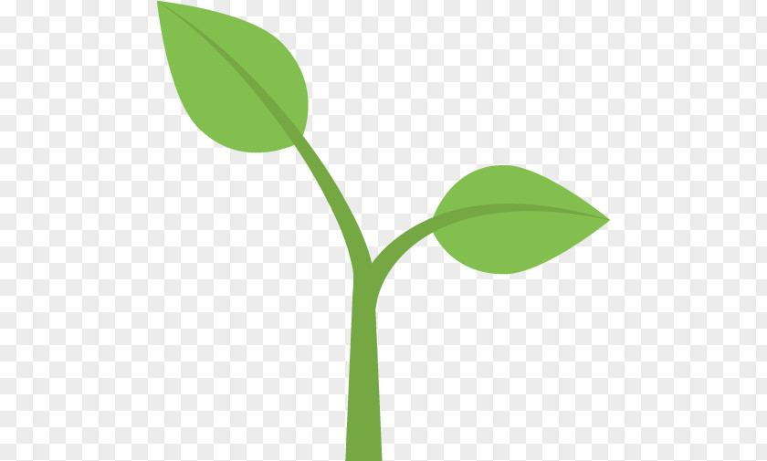 Logo Pedicel Green Leaf PNG