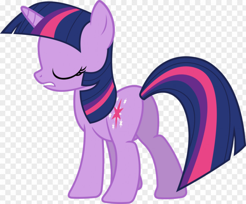 My Little Pony Twilight Sparkle Rarity The Saga PNG