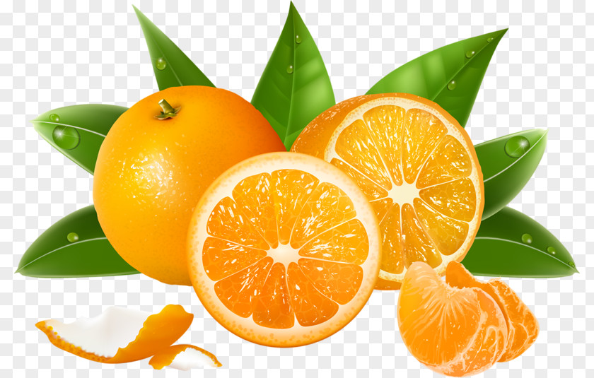 Oranges Pattern Juice Malta Orange Fruit Hindi PNG