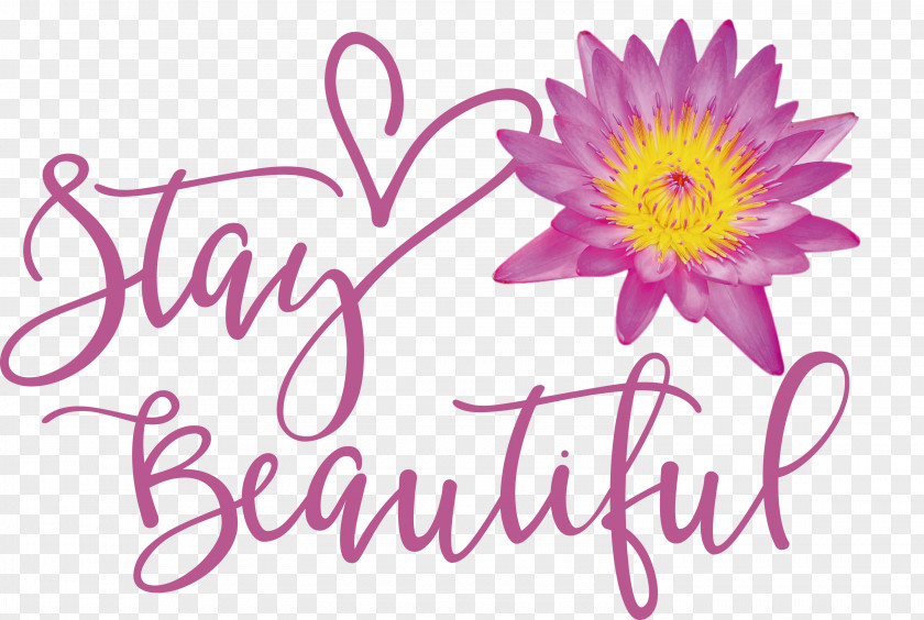 Stay Beautiful Fashion PNG