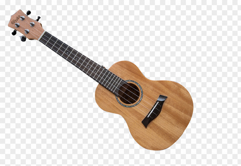 Ukulele Acoustic Guitar PNG