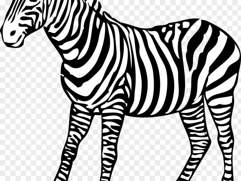Zebra Horse Black And White Clip Art PNG
