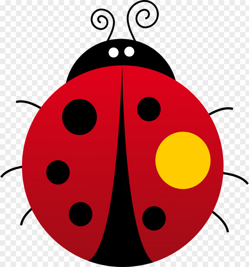 Beetle Ladybird Clip Art PNG