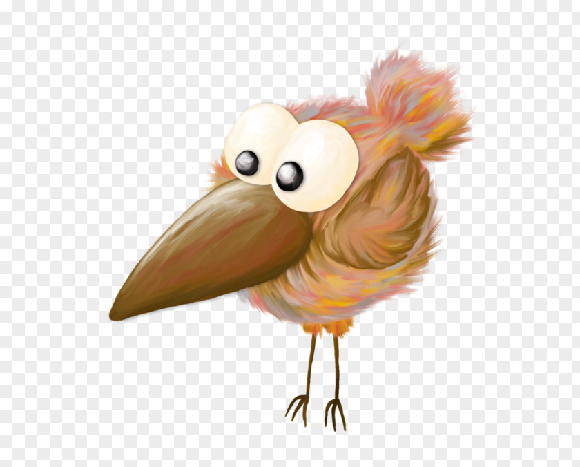 Chicken Bird Cartoon PNG
