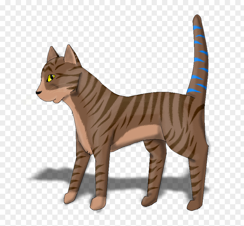 Eagle Warrior Whiskers Tabby Cat Tail PNG