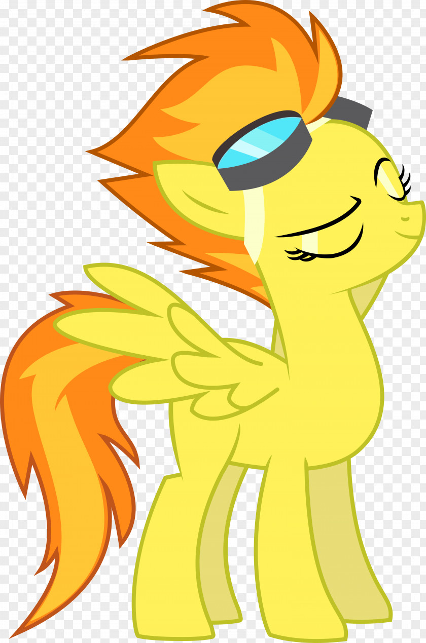 My Little Pony Rainbow Dash Pony: Friendship Is Magic Fandom Twilight Sparkle Pinkie Pie PNG