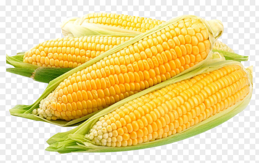Boiled Sweet Corn On The Cob Organic Food Popcorn Candy PNG