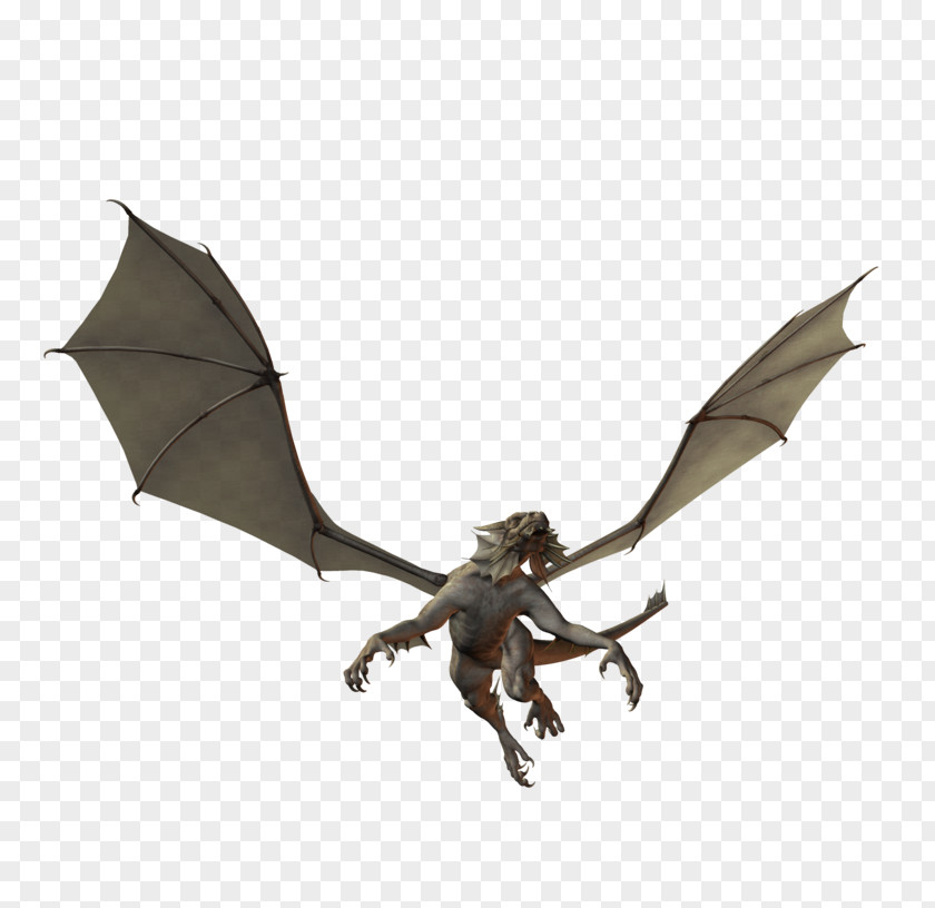 Dragon Stock Photography PNG