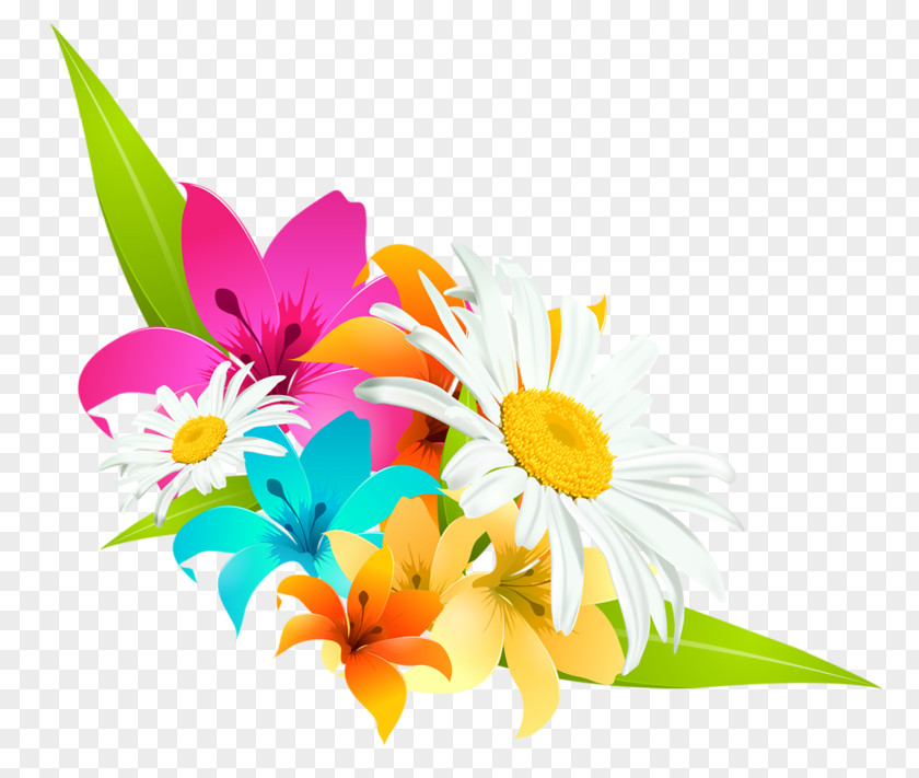 Flower Drawing PNG