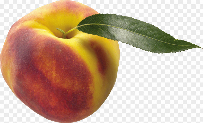Apricot Nectarine Food Peach PNG