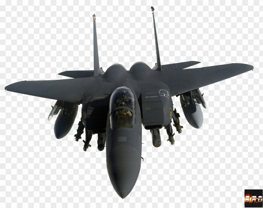 Aviao McDonnell Douglas F-15 Eagle F-15E Strike Grumman F-14 Tomcat Lockheed Martin F-22 Raptor Robins Air Force Base PNG