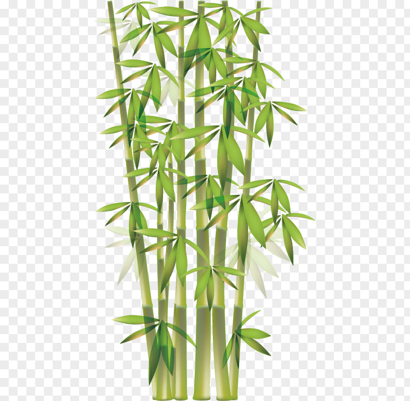 Bamboo Material Euclidean Vector Clip Art PNG