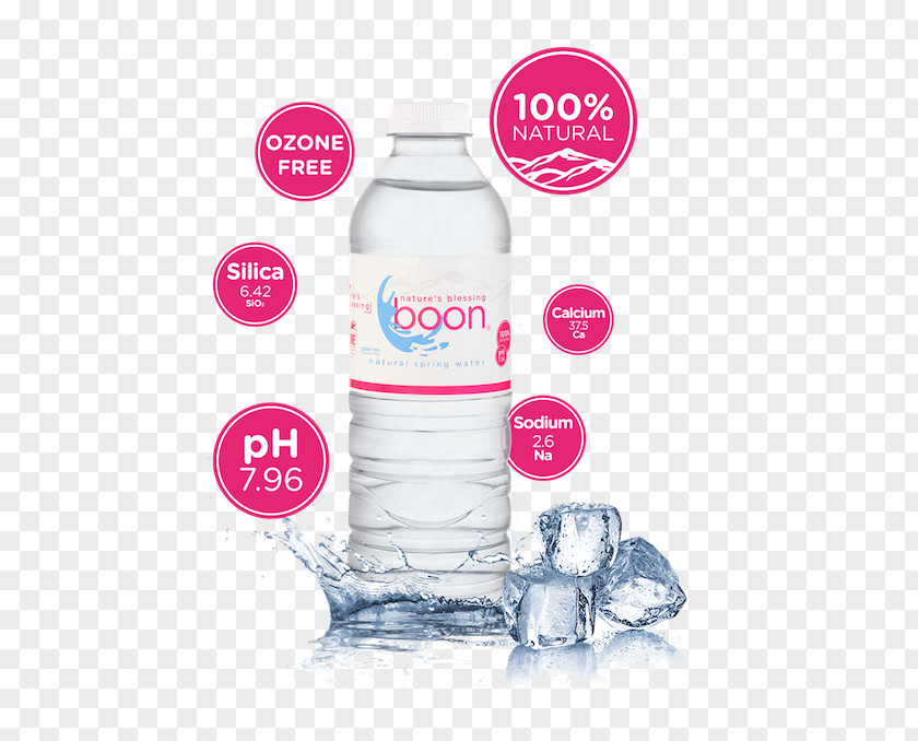 Bottle Mineral Water Plastic Bottled PNG