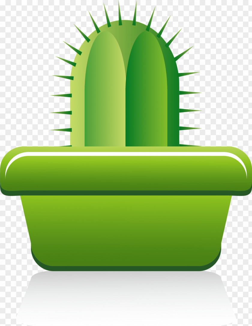 Green Cactus Stock Image Cactaceae PNG