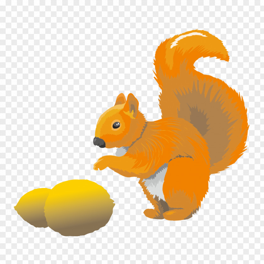 Squirrels And Pine Cones Squirrel PNG