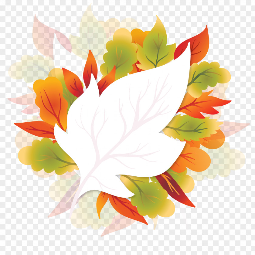 Vector Maple Autumn Leaves Floral Design Leaf PNG