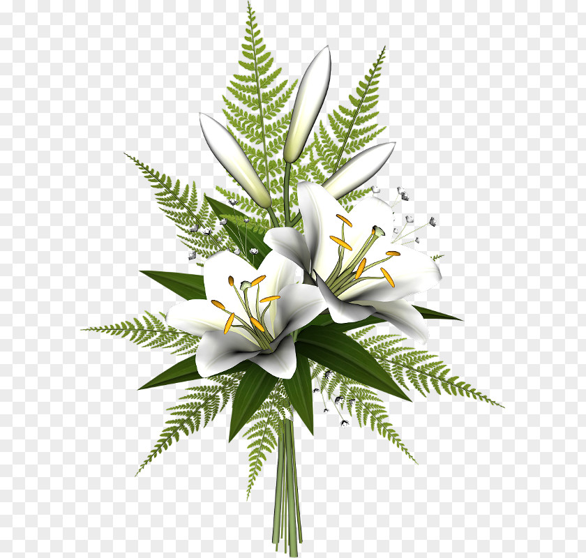 Flower Lilium Blog Clip Art PNG