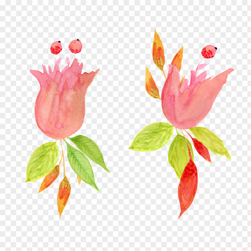 Hand Painted Watercolor Pink Floral Decoration Pattern Painting PNG