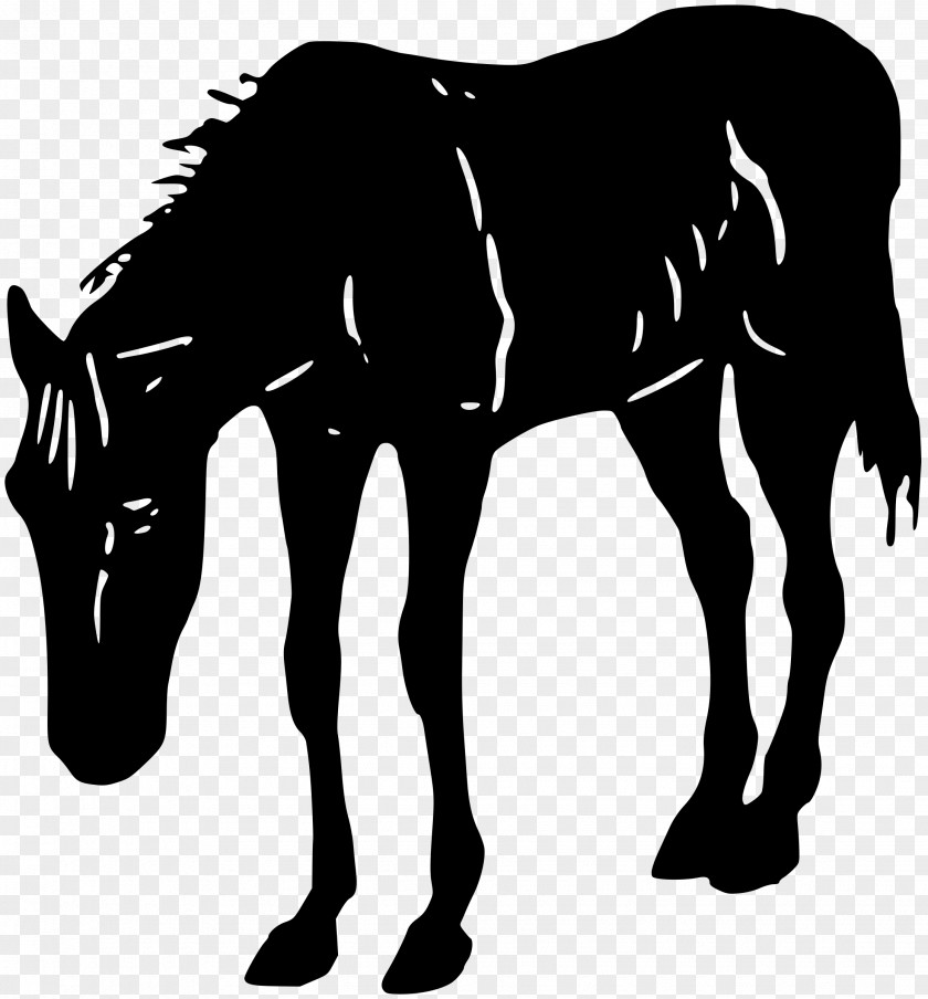 Horses Horse Clip Art PNG