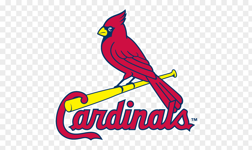 MLB Field Cliparts St. Louis Cardinals Palm Beach Blues PNG