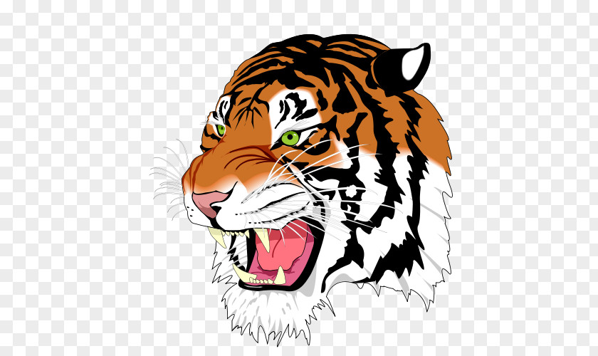 Siberian Tiger Clip Art PNG