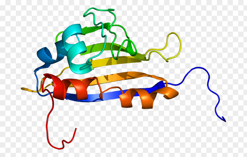 Alpha Hydroxy Acid Heat Shock Protein Hsp90 Treacle Cell PNG