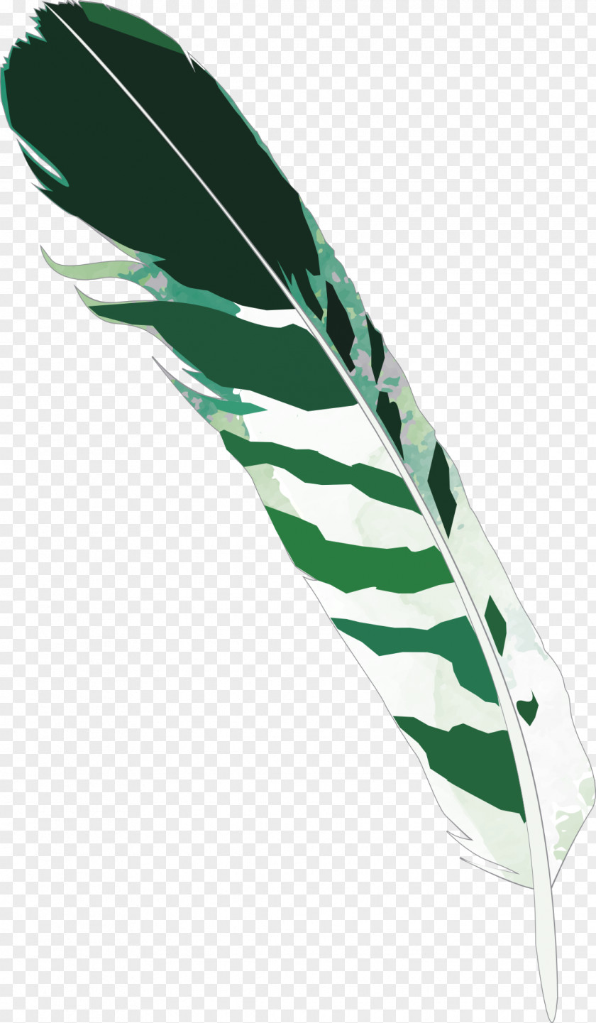Fantasy Feather Bird Green PNG