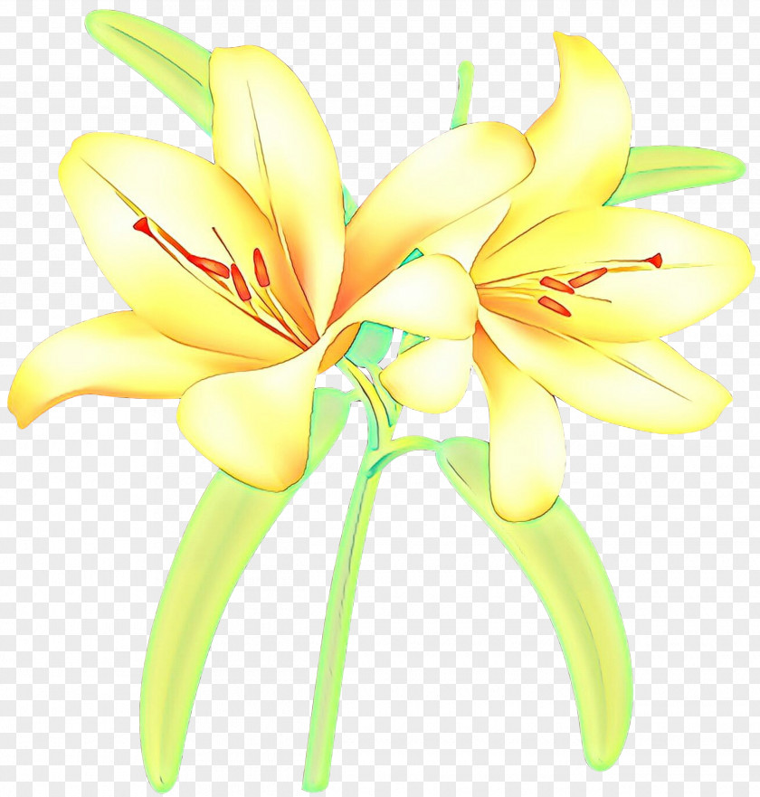 Floristry Cut Flowers Jersey Lily Plant Stem Daylily PNG