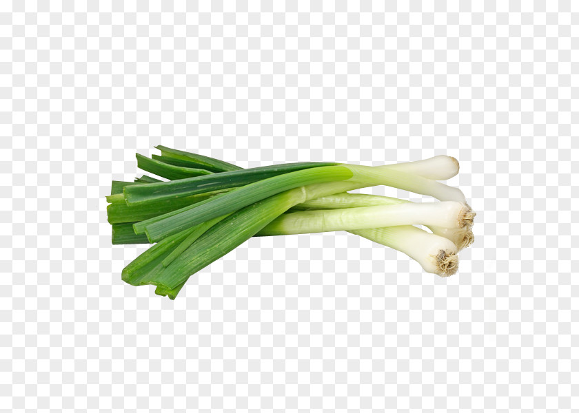 Onion Ghormeh Sabzi Garlic Scallion Leek PNG