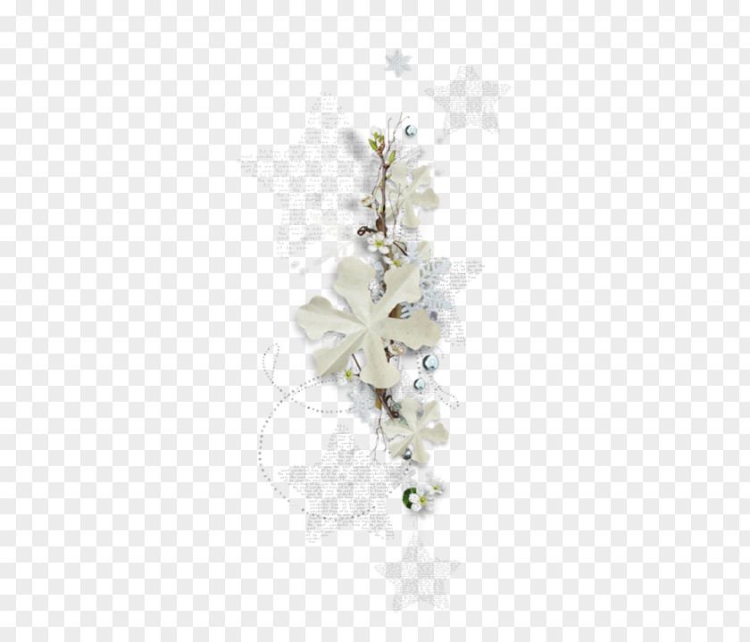 Plant White Floral Flower Background PNG