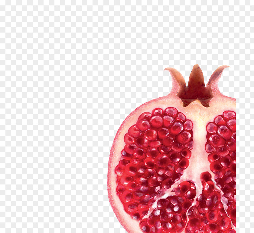 Pomegranate Loganberry Boysenberry Raspberry Tayberry PNG