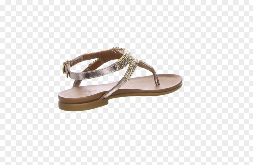 Sandal Flip-flops Slide Shoe PNG